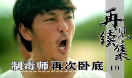 达子卧底在线观看,笑料百出，揭秘卧底风云